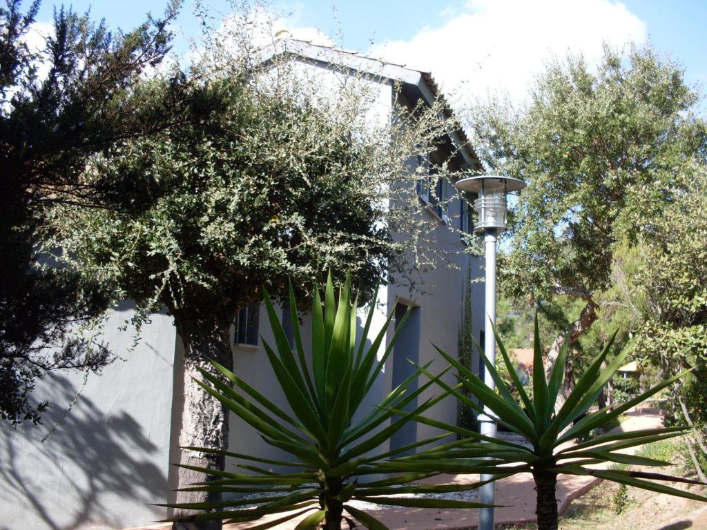 Three-Bedroom Villa,631400367:JPEG