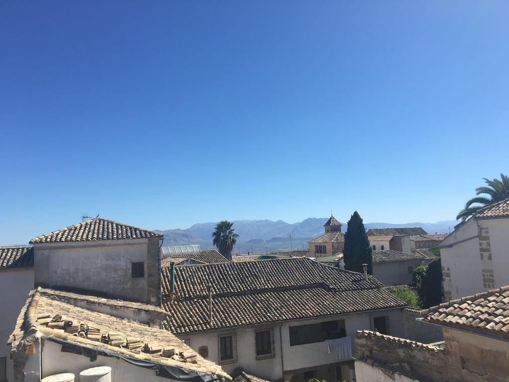 Apartamento de 3 dormitorios