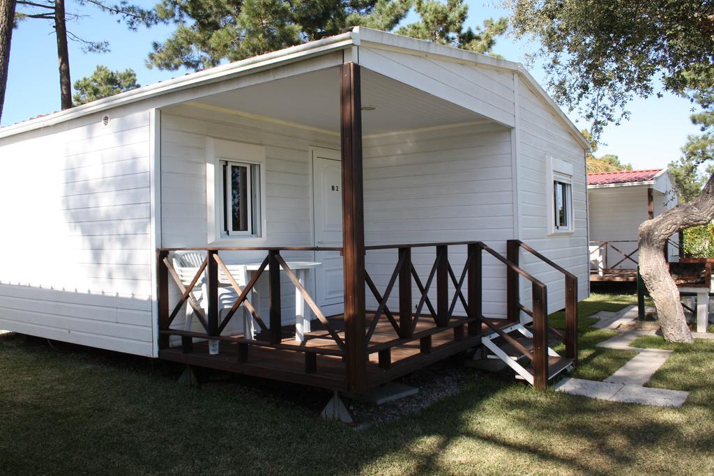 Two-Bedroom Bungalow,378162931:JPEG