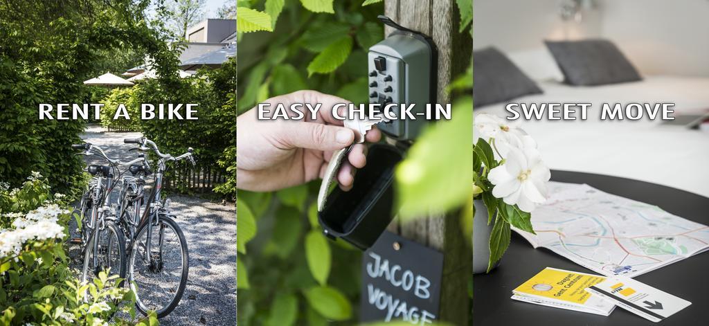 Deluxe Double or Twin Room with Garden View,1009249861:JPEG