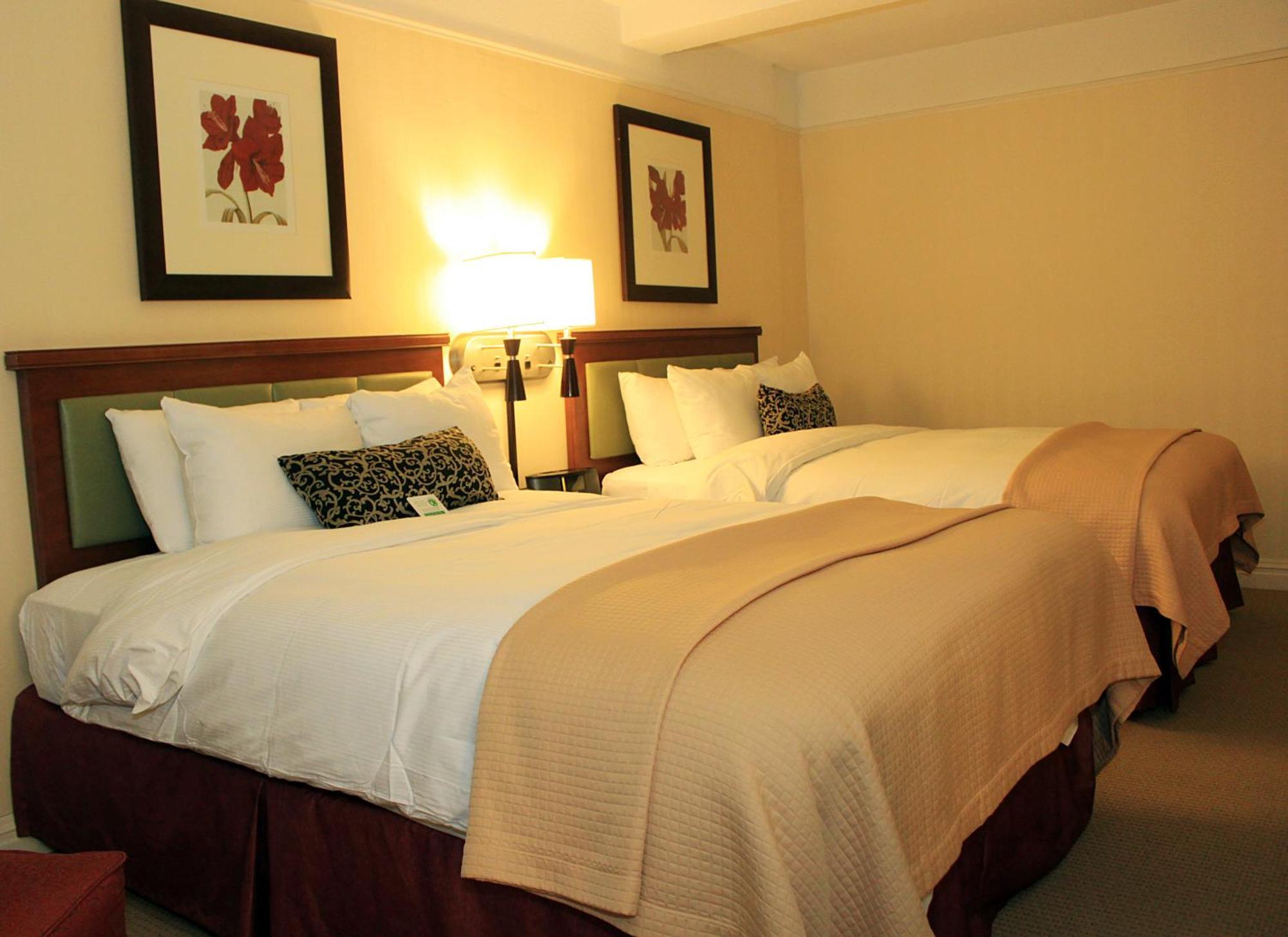 Deluxe Kamer met 2 Queensize Bedden