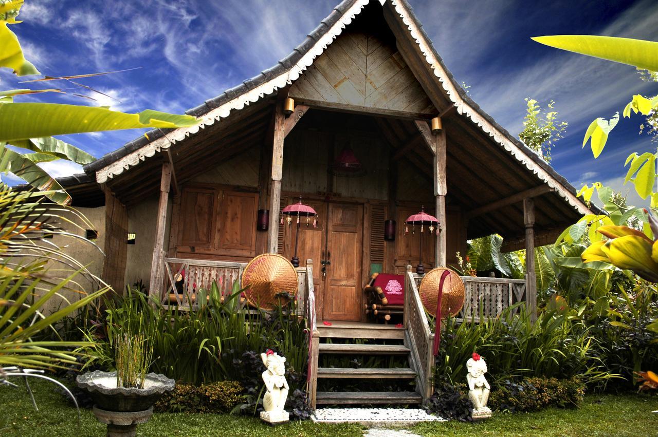 Bungalow de Luxe Climatisé