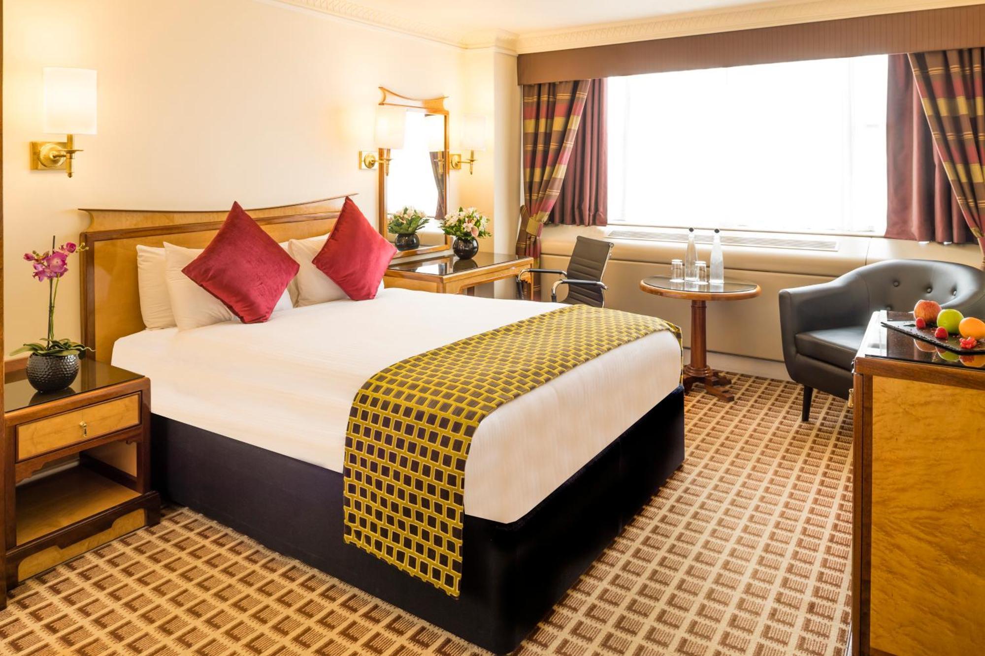 Club Double Room,700566550:JPEG