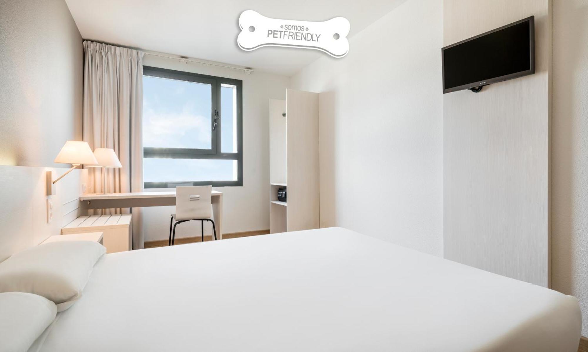 Chambre Lits Jumeaux - Animaux Domestiques Admis