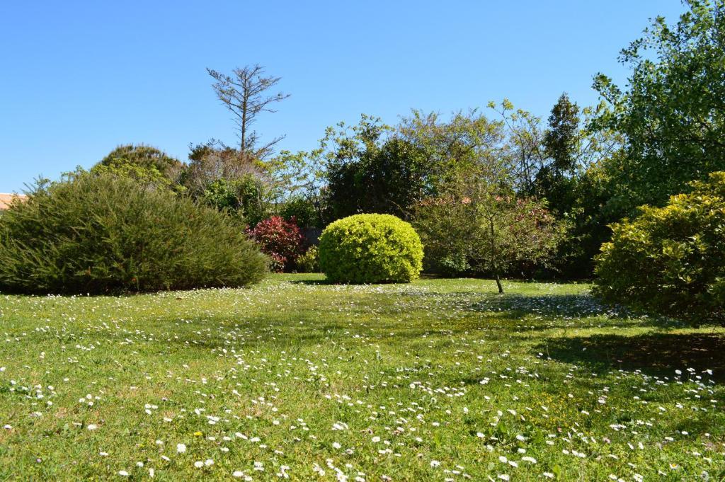 Studio Triple - Vue sur Jardin
