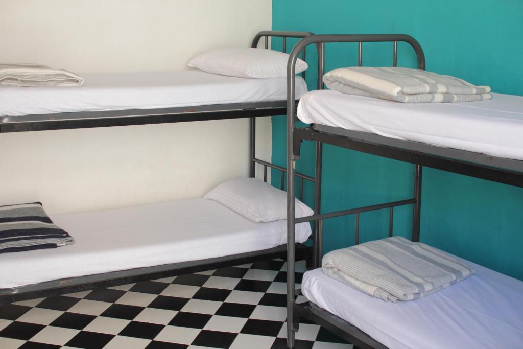 Bed in Slaapzaal met 4 Bedden en Gedeelde Badkamer