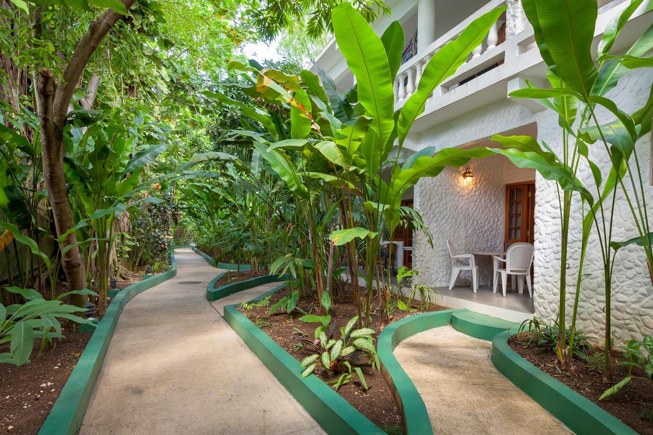 Garden Studio I