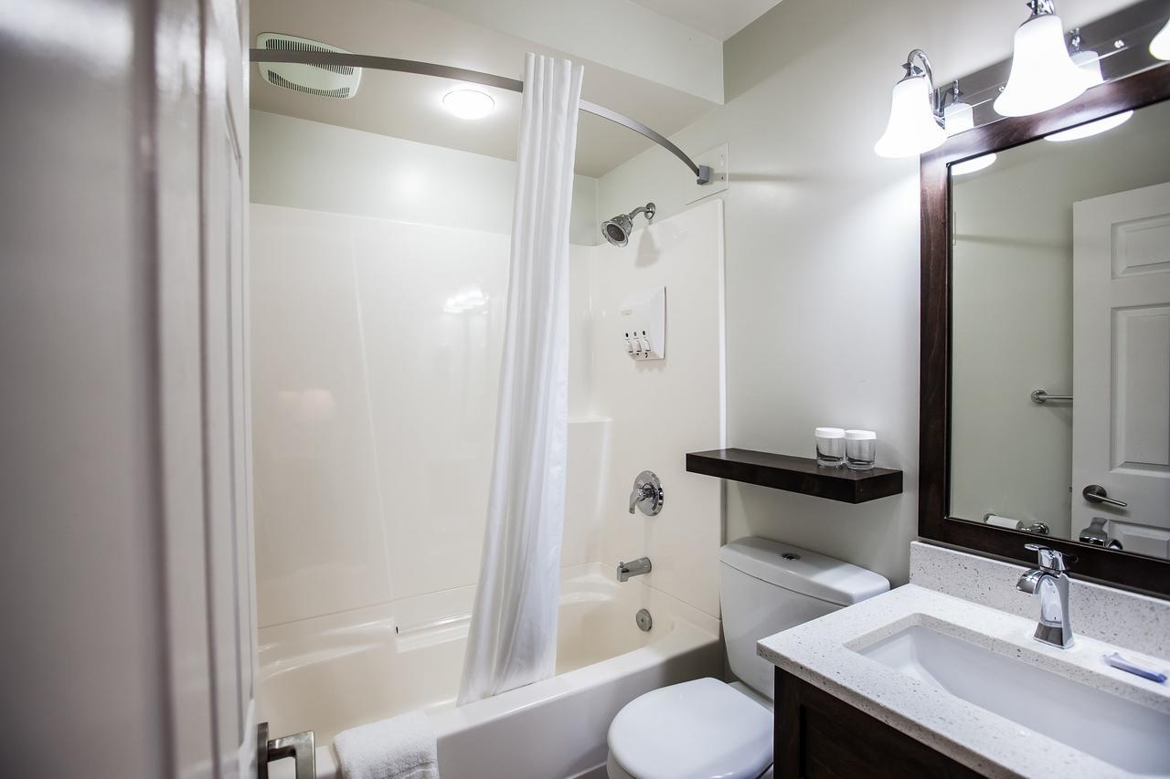 Chambre Lit King-Size avec Baignoire Spa - Animaux Domestiques Non Admis
