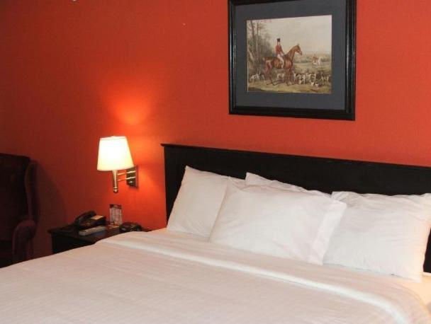 Chambre Lit King-Size - Non-Fumeurs