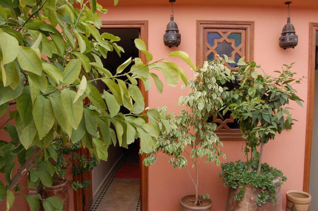 Chambre Simple avec Terrasse