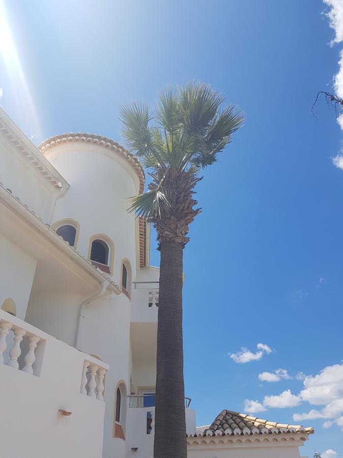 Tweepersoonskamer met 2 Aparte Bedden