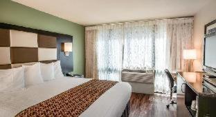 Quarto Standard com Cama King-size