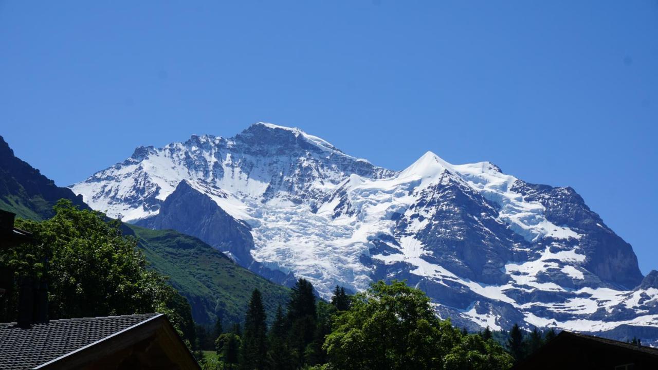 Chalet mit 2 Schlafzimmern