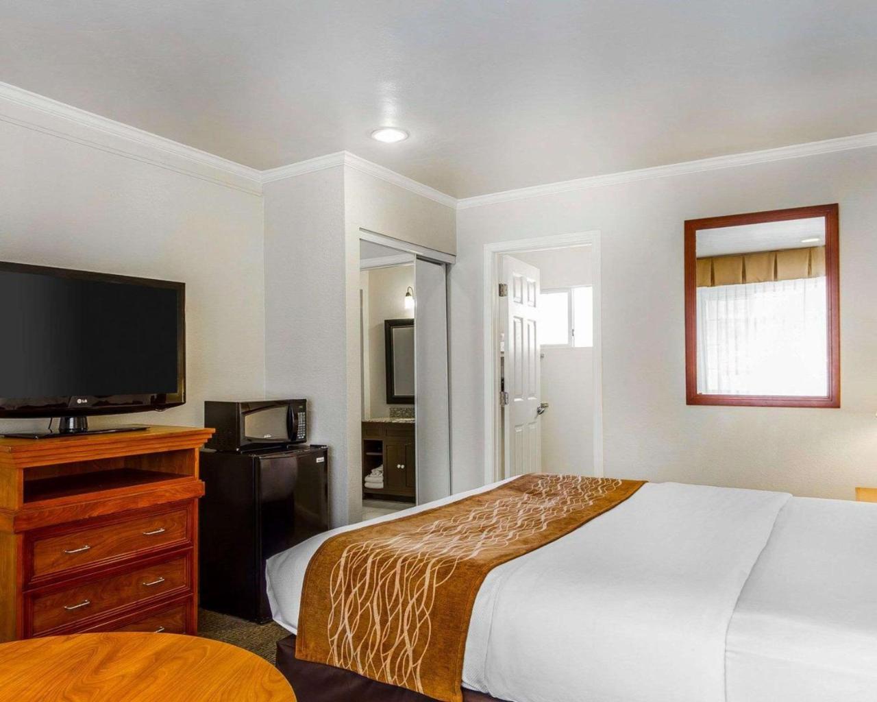 Quarto Standard com 1 Cama King-size - Não Fumantes