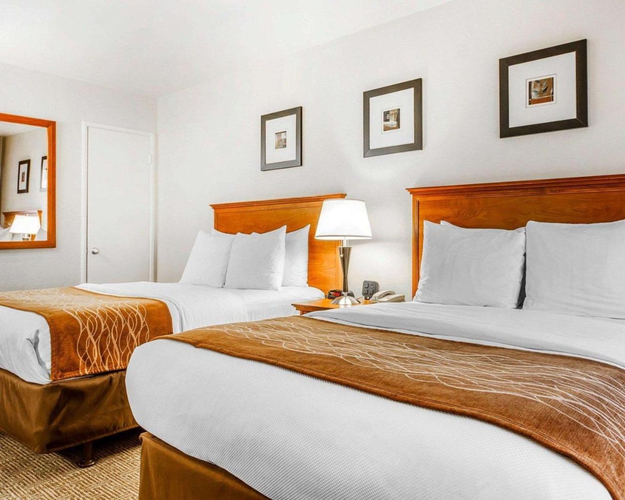 Quarto Standard com 2 Camas de Casal - Não Fumantes