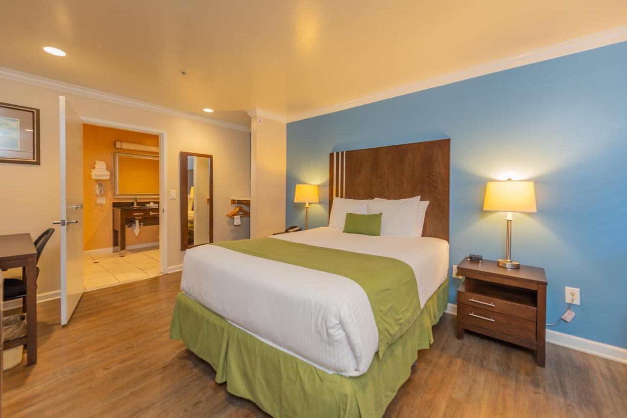 Chambre Lit Queen-size - Accessible aux Personnes à Mobilité Réduite