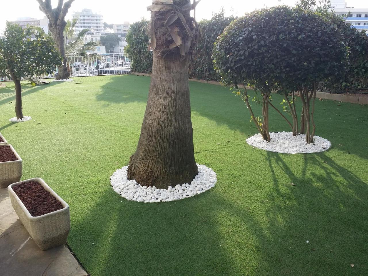 Chambre Triple avec Terrasse