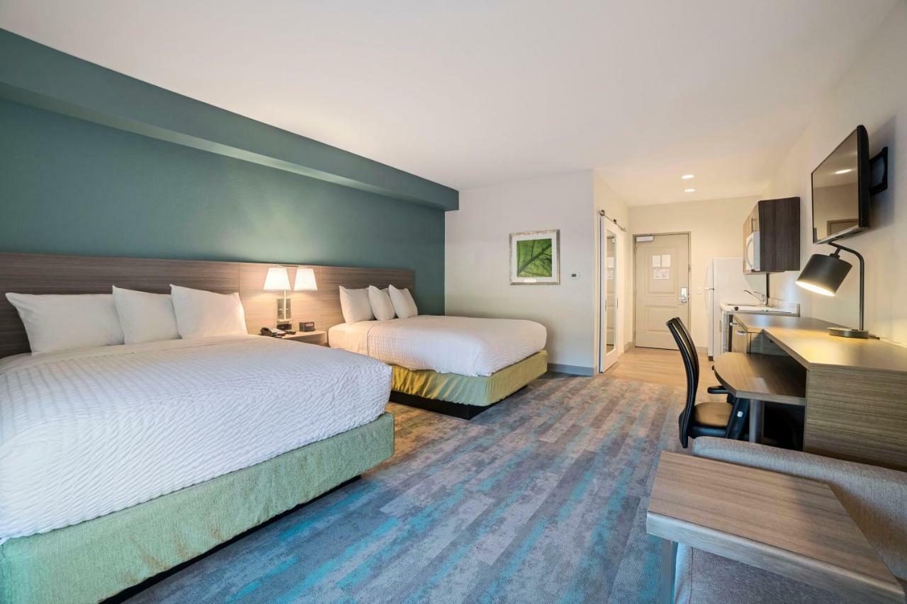 Studio with 2 Queen Beds - Non-Smoking