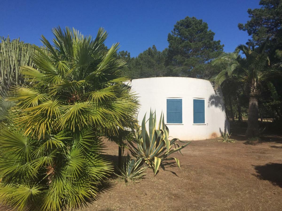 Bungalow con Vista Giardino