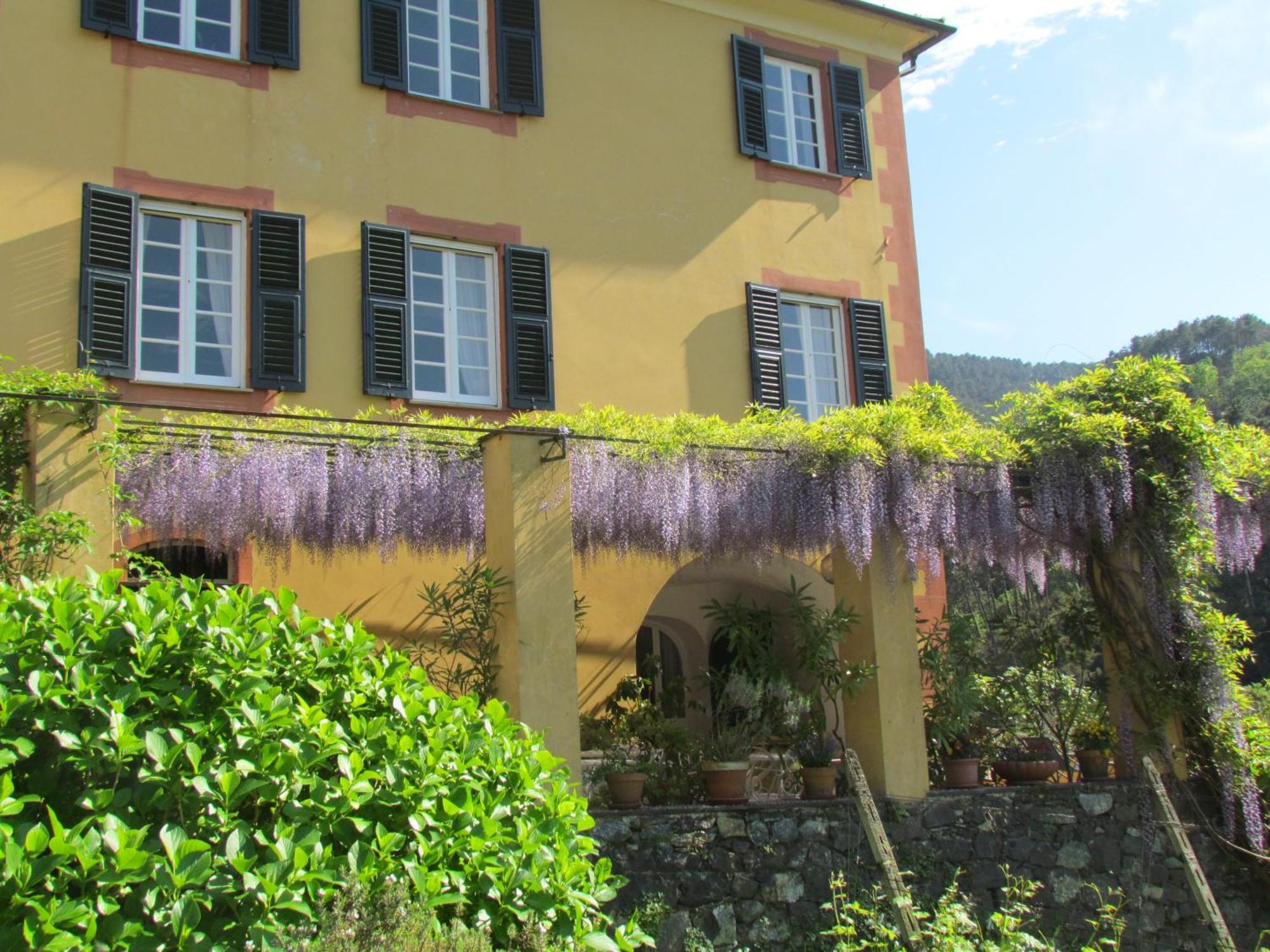 Suite Countryside View,1538465608:JPEG