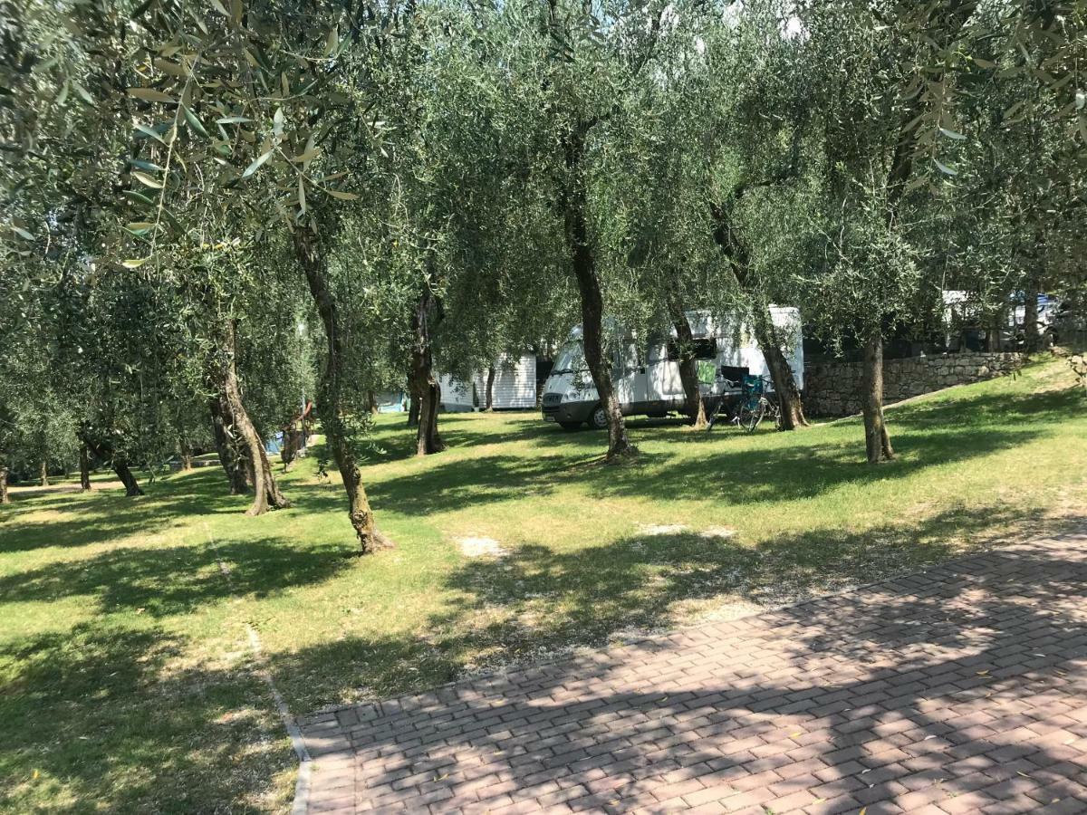 Small Empty lot,883055275:JPEG