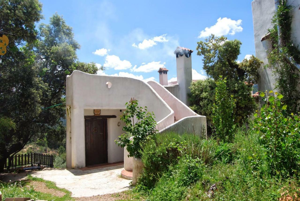 Two-Bedroom House,890862844:JPEG