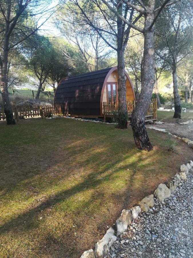 Habitación Doble Deluxe con vistas al jardín