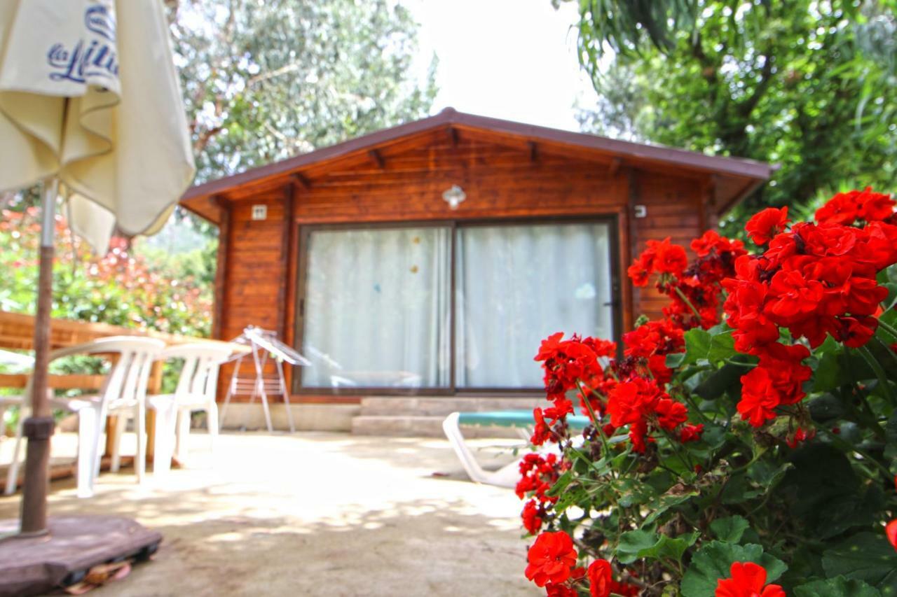Chalet 3 Chambres