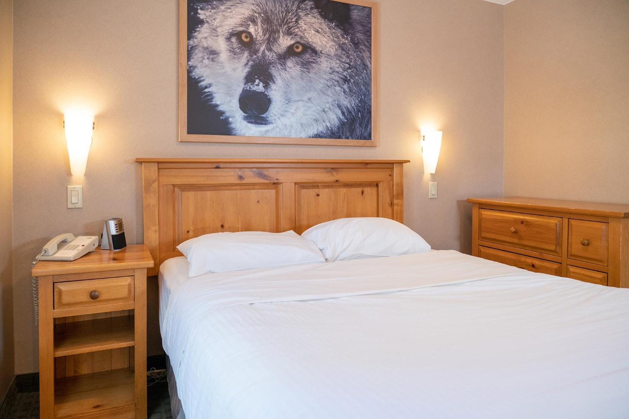 Suite Loft