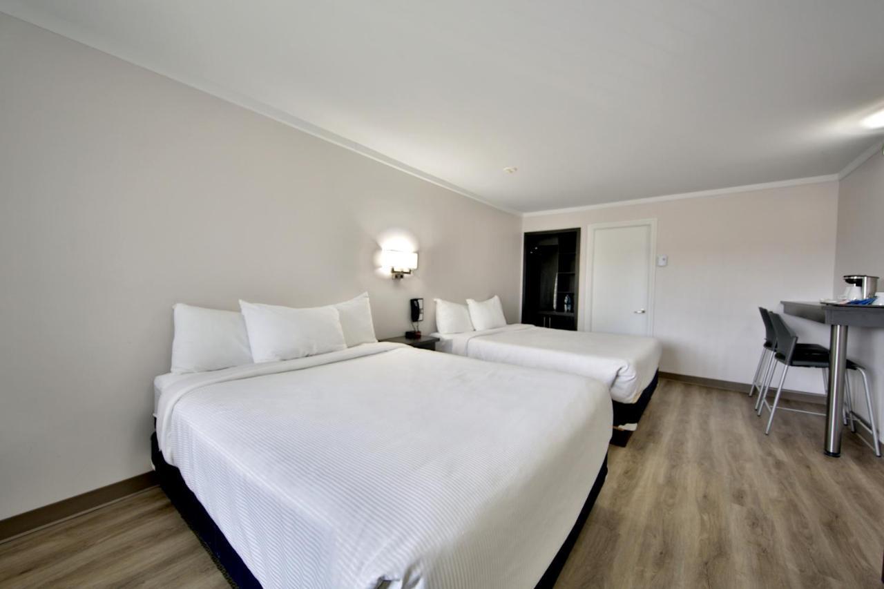 Standard Room, 2 Queen Beds,1012664659:JPEG