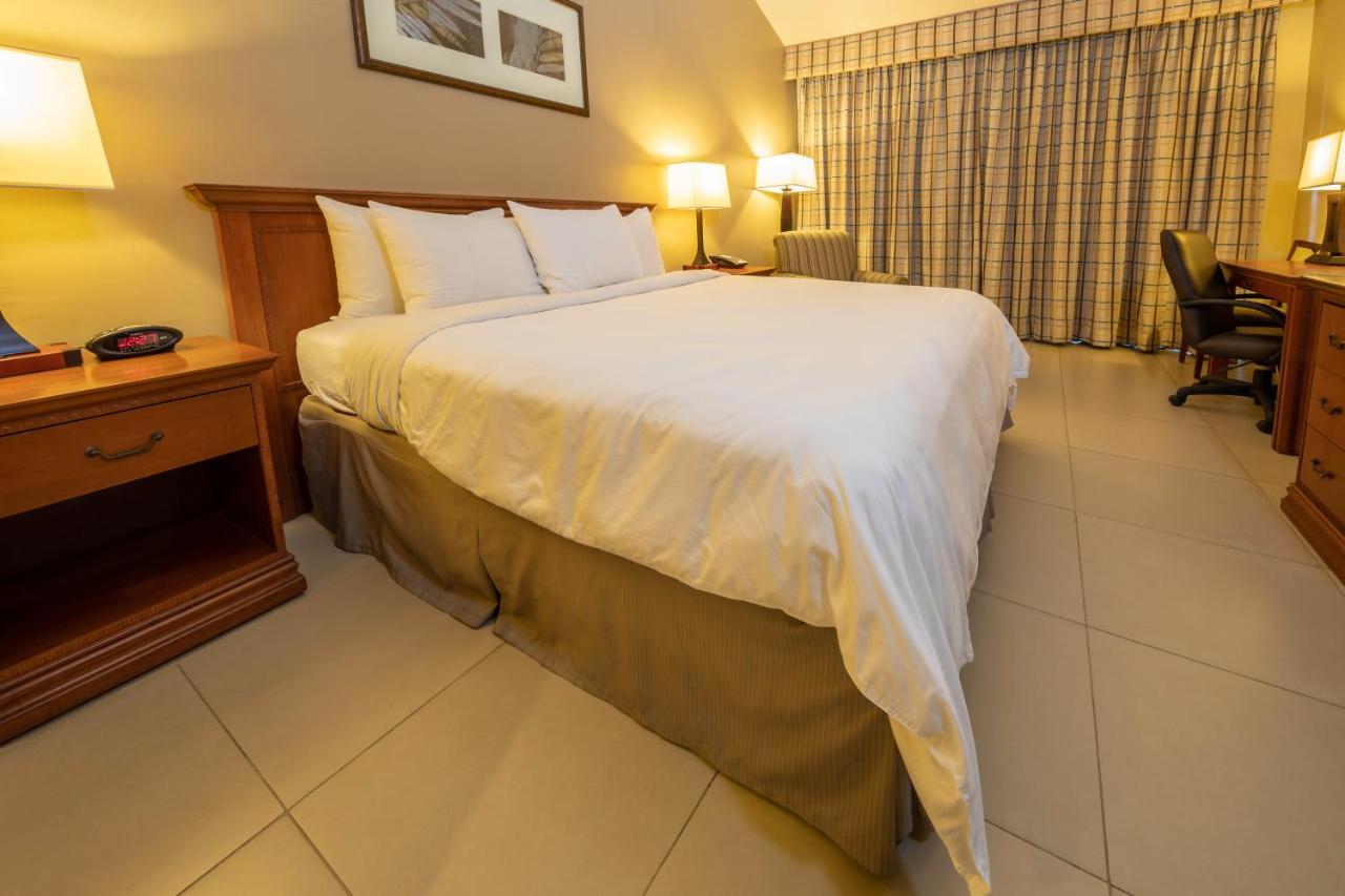Suíte com Cama King-size e Sofá-cama - Não Fumantes