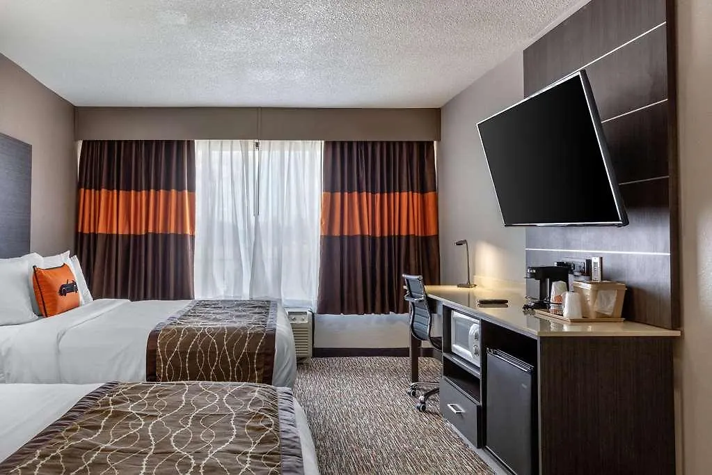 Vettecity Hotel-1