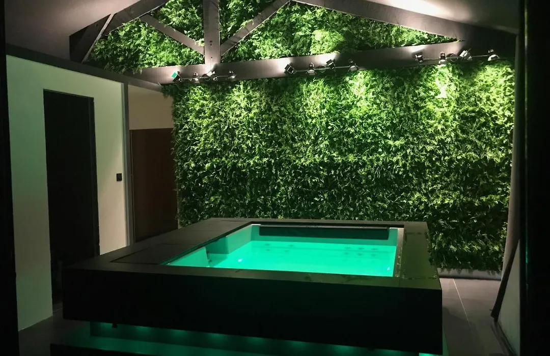 Loft piscine et spa provence-1