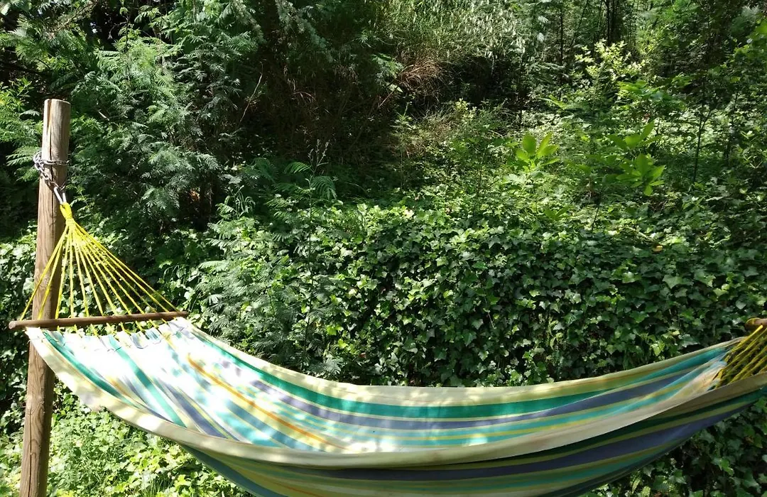 Pura Vida-1