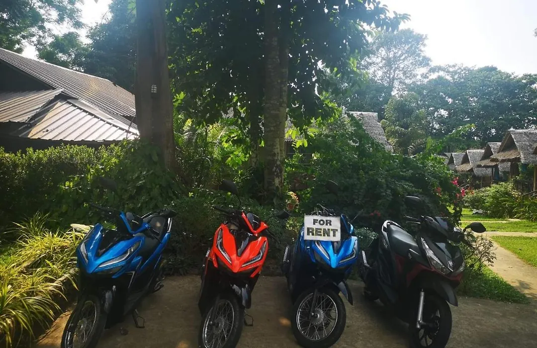 Jungle Garden-1