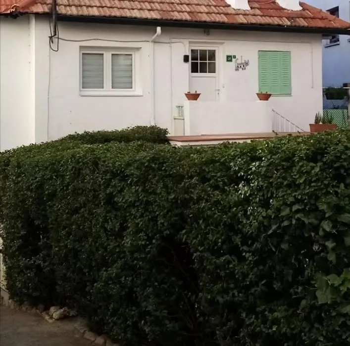 El Abuelo Paco-1