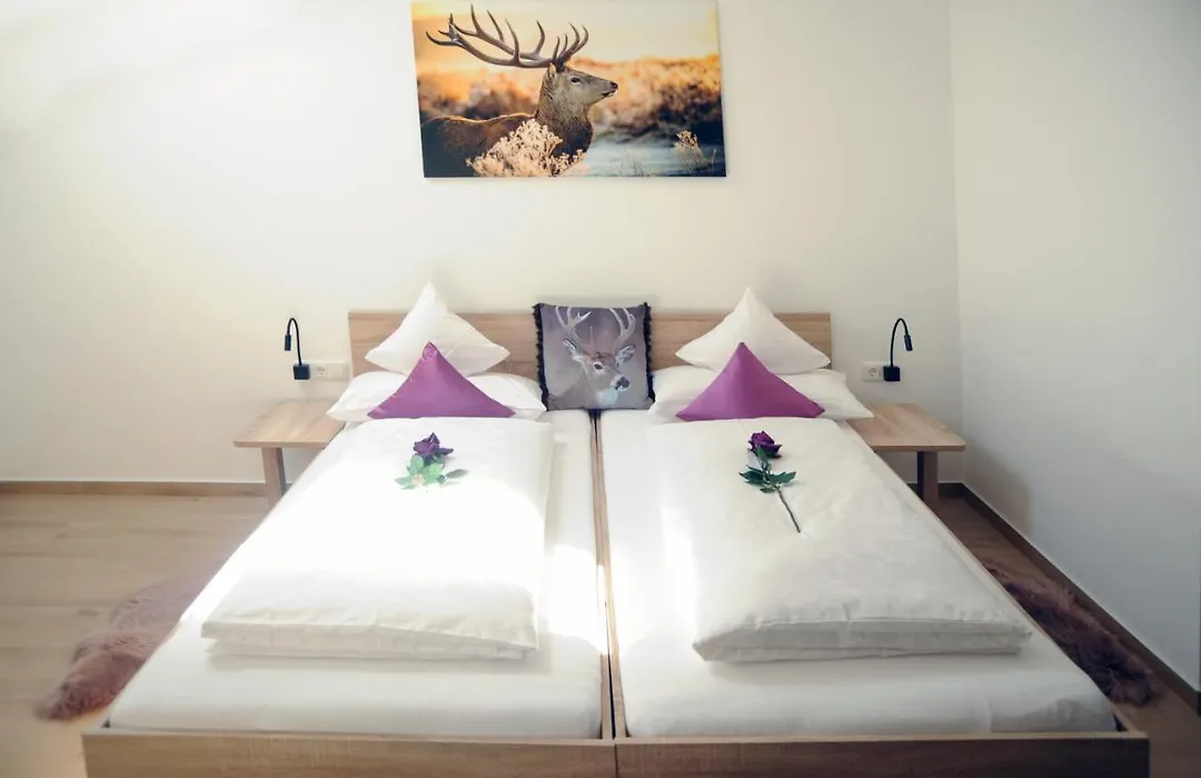 Pension Lerchenfeld-1