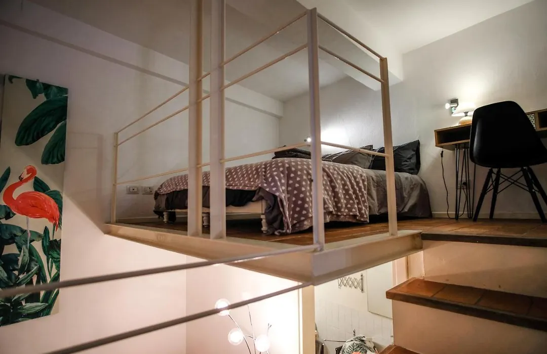 Cozy House-1