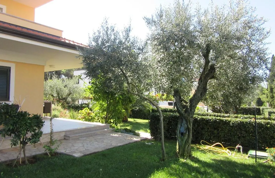 Villa Ema-1