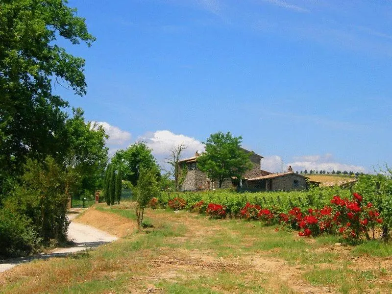Agriturismo Il Poggio Di Orvieto-1