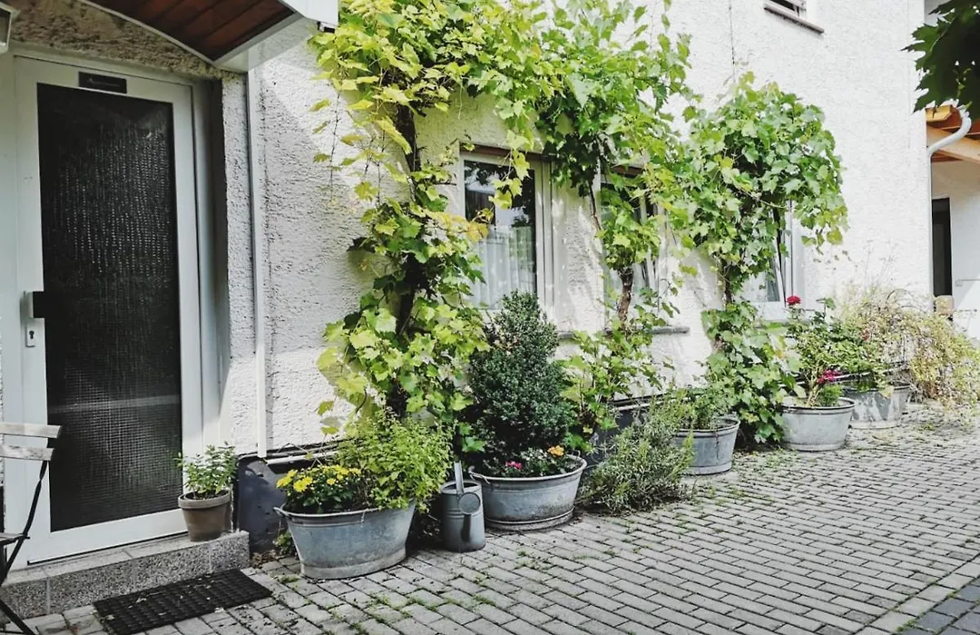 Hotel Meuser-1