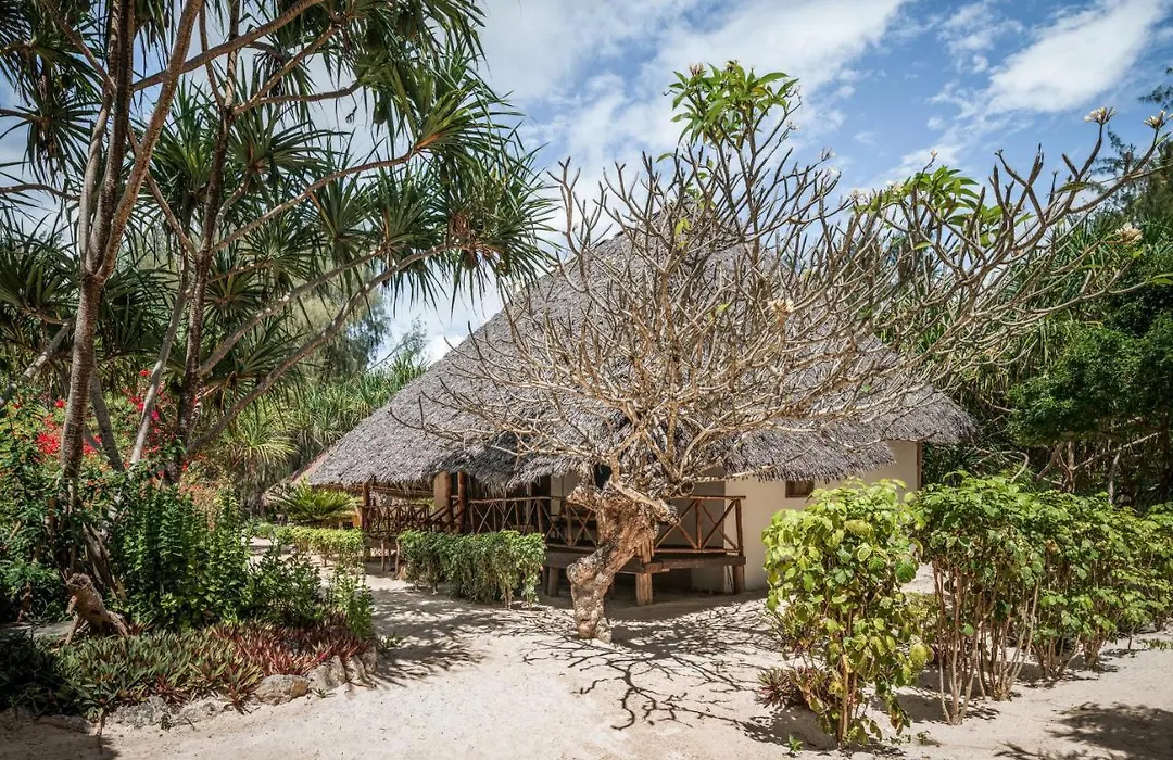 Hakuna Majiwe Beach Resort-1