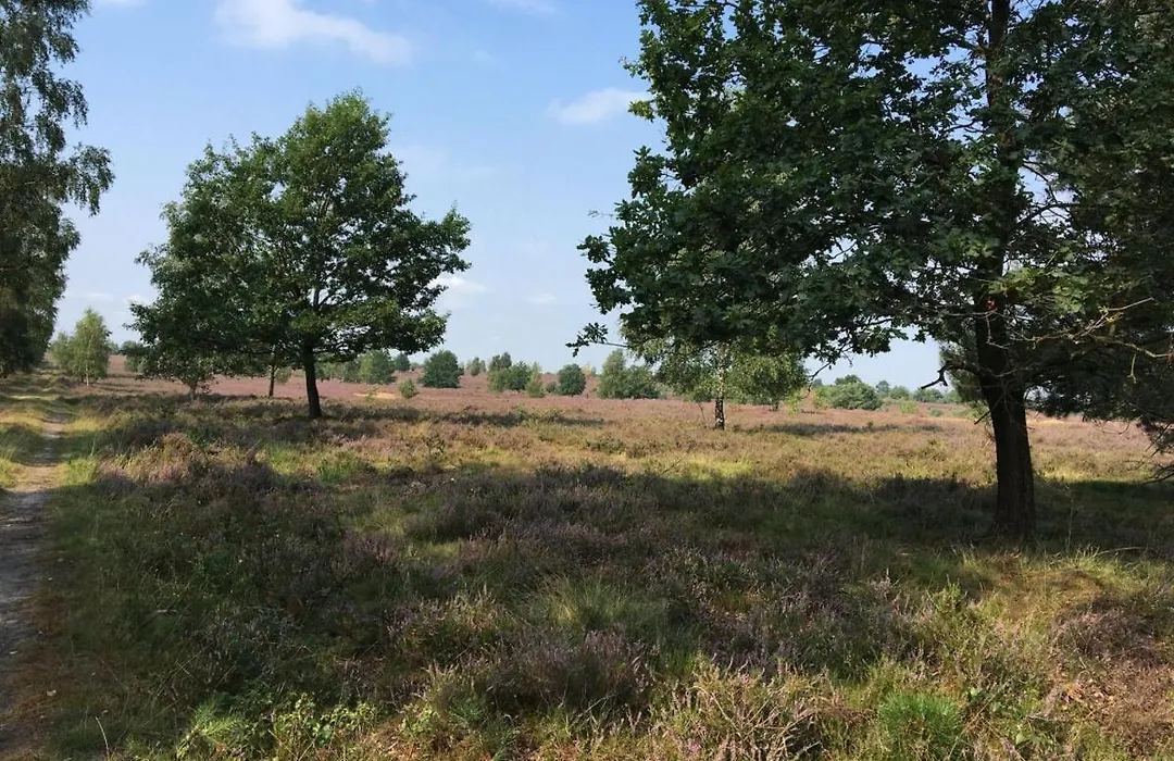 Ferienhof Timmerloher Heide-1