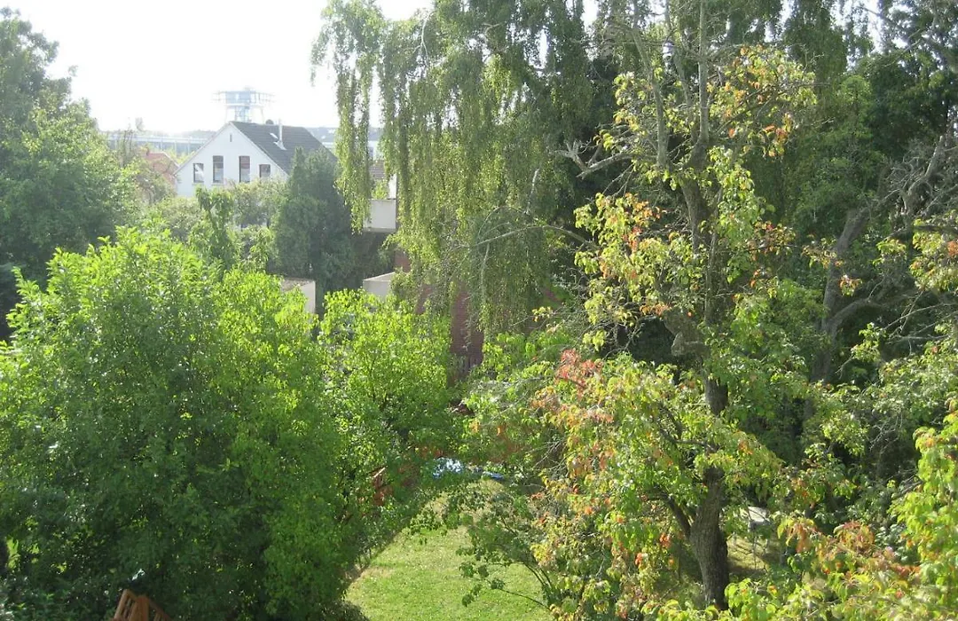 Pension Mitte-1