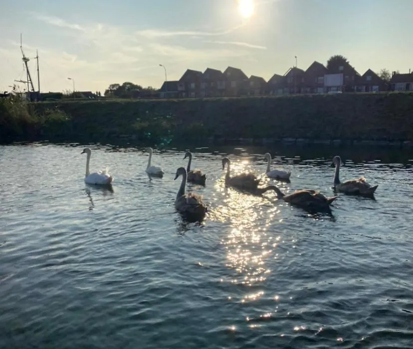 B&B Tholen-1
