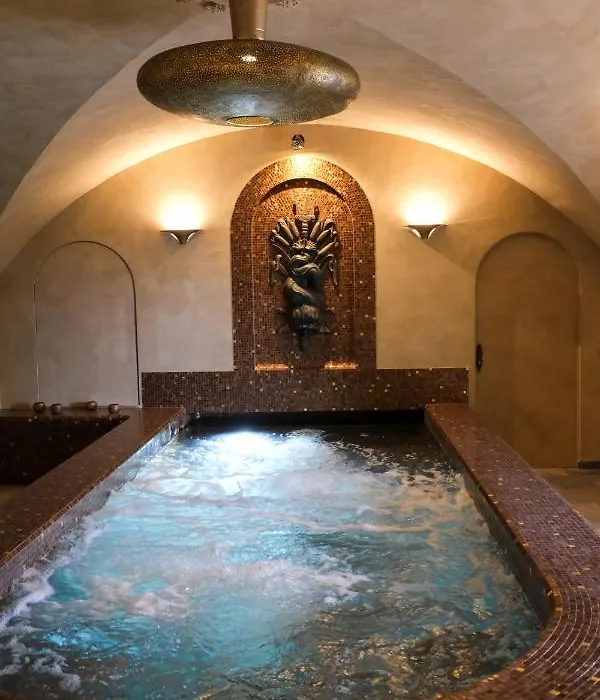 Hotel Restaurant Spa Le Sauvage-1