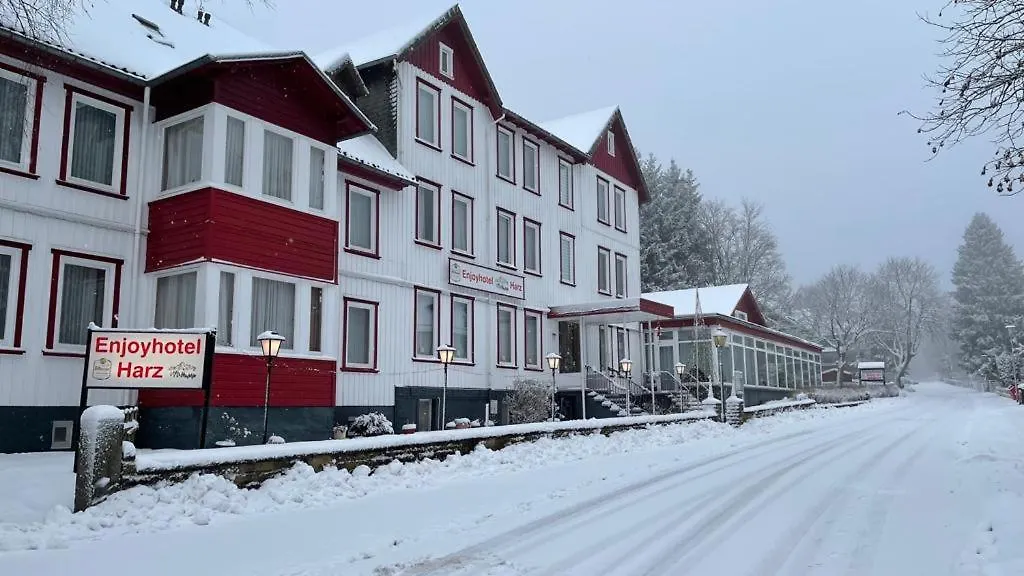 Hotel Harz-1