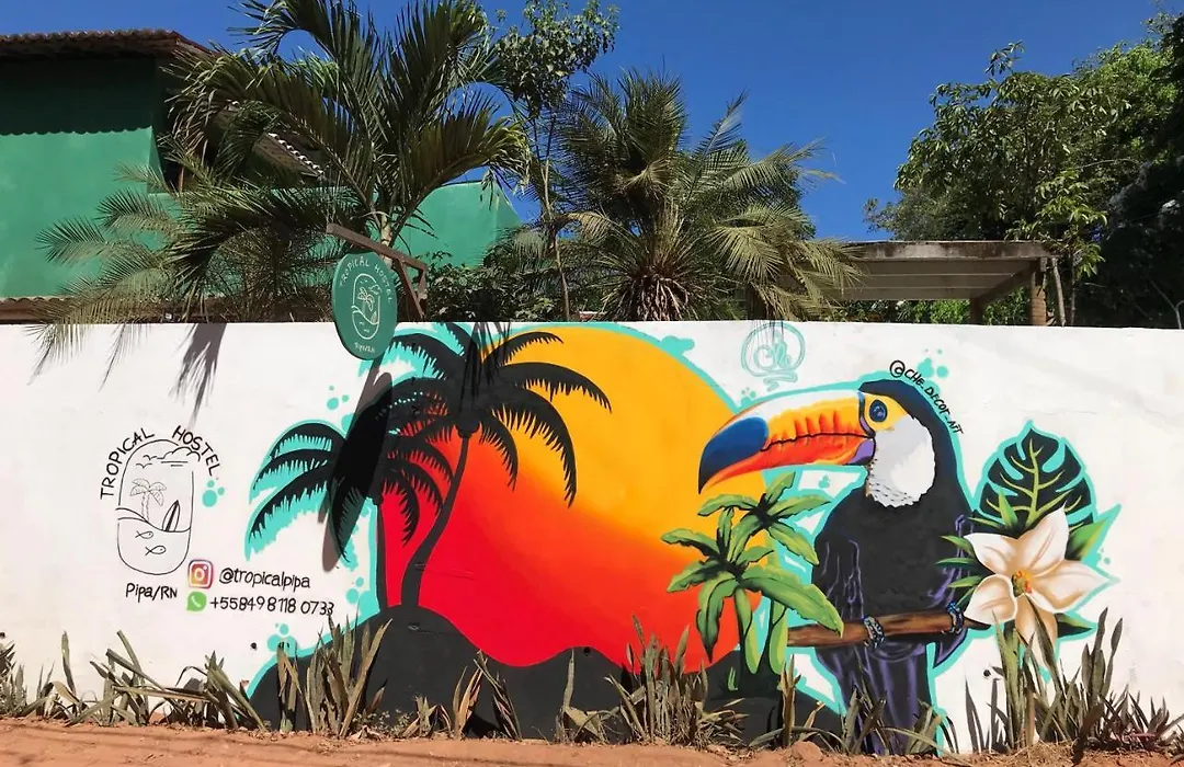 Tropical Hostel-1