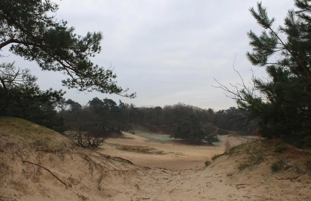 Camping het Smitske-1