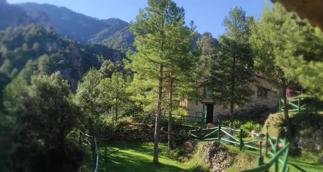 Mas De Rogelio-1